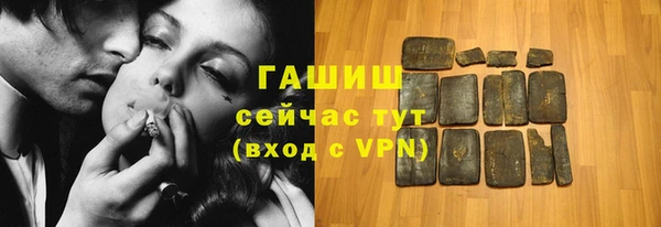 гашик Краснослободск