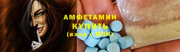 гашик Краснослободск