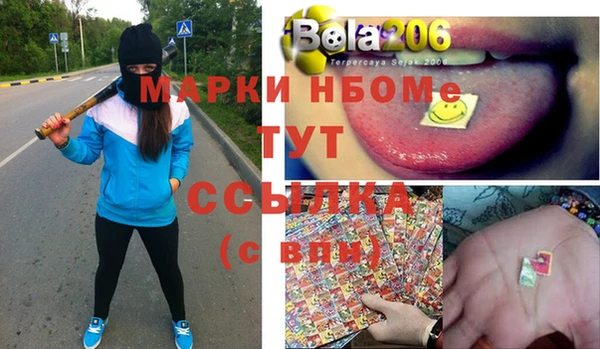 гашик Краснослободск