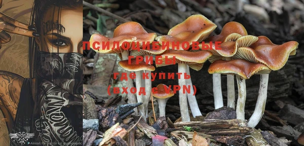 гашик Краснослободск
