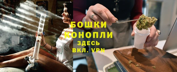 гашик Краснослободск