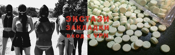 гашик Краснослободск