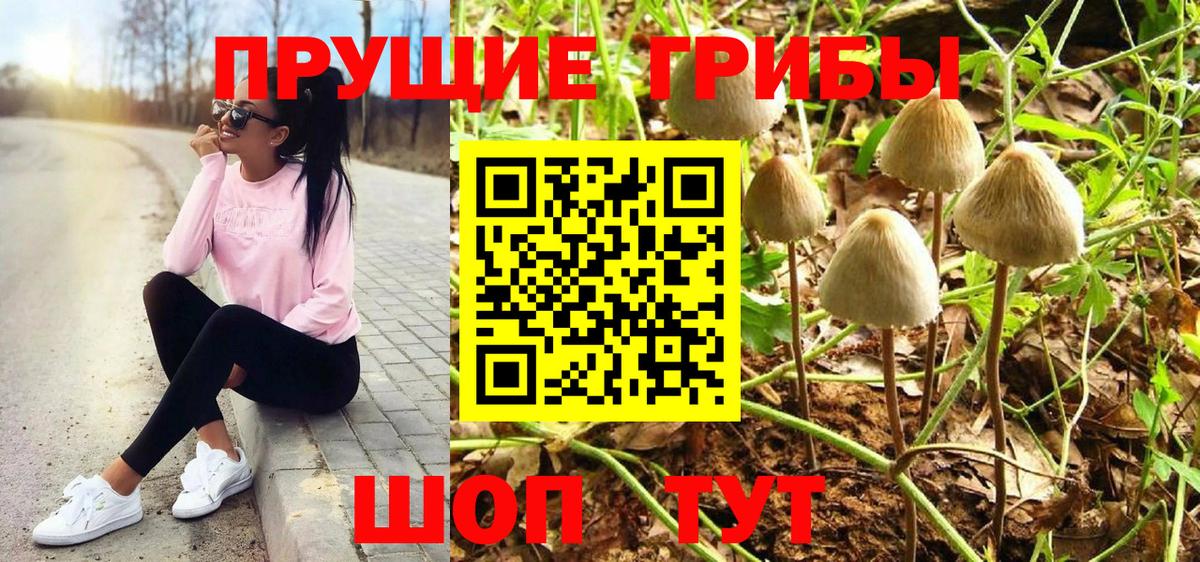 Феодосия  Псилоцибиновые грибы мицелий  Вход с VPN 
